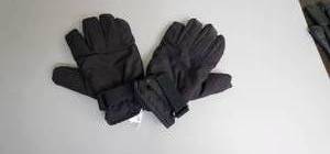 lot 170 image: Eddie Bauer Gloves Large