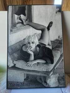 lot 152 image: Framed Wayne Mauser Photography photo - no glass - 24 x 36