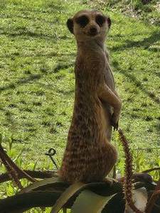 lot 246 image: Hey YOU Bid on all the items with no bid - all lots with no bid