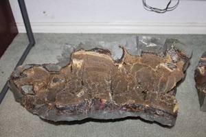 lot 191 image: LARGEST Raw Septarian Geode Rock 19x8 (over 1.5 feet long)
