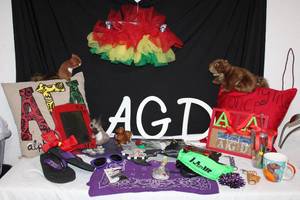 lot 240 image: Alpha Gamma Delta Sorority Lot as shown
