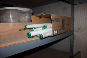 lot 302 image: Fluorescent Light Bulbs