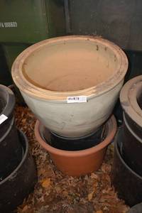 lot 571 image: 3 Planters 21, 20, 13