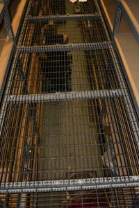 lot 267 image: Grated Flooring - 2 Sections 2x70( PICTURE MAY NOT BE EXACT GRATING)