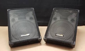 lot 89 image: Pair of Community MVP12M Stage Monitors 2-Way Monitor 12 Subwoofer High Frequency Horn