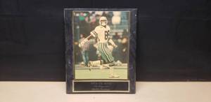 lot 114 image: Michael Irvin Autographed 11x14 Photo