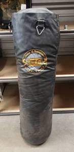 lot 125 image: Everlast Punching Bag wChain