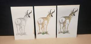 lot 404 image: Lot of 4 Signed Don Lynch Artist Signed & Numbered Lithographs, 2 Are Hand Colored