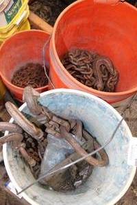 lot 116 image: 3 Containers of Chains and Hooks