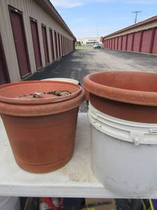 lot 101 image: lot of plastic planter pots all various sizes
