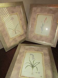 lot 102 image: set of 3 Hyacinthus nan sericites  flower photos 15X13