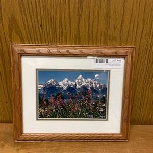 lot 46 image: Mountain and Flower Scenery