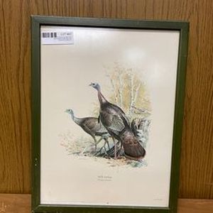 lot 97 image: wild turkey framed print