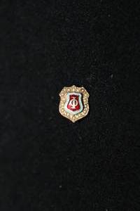lot 311 image: 14K yellow gold, enamel and seed pearl fraternal pin. Marked 14K.