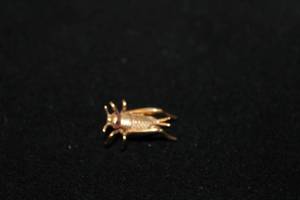 lot 346 image: 14K yellow gold twist pin with Ruby eyes in Cricket form. Eyes tested as Rubies. Marked 14K.