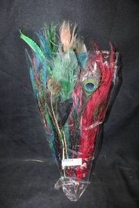 lot 504 image: Peacock feathers (shorter bunch)