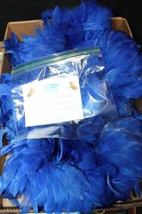 lot 506 image: Brilliant Blue feathers on rope string