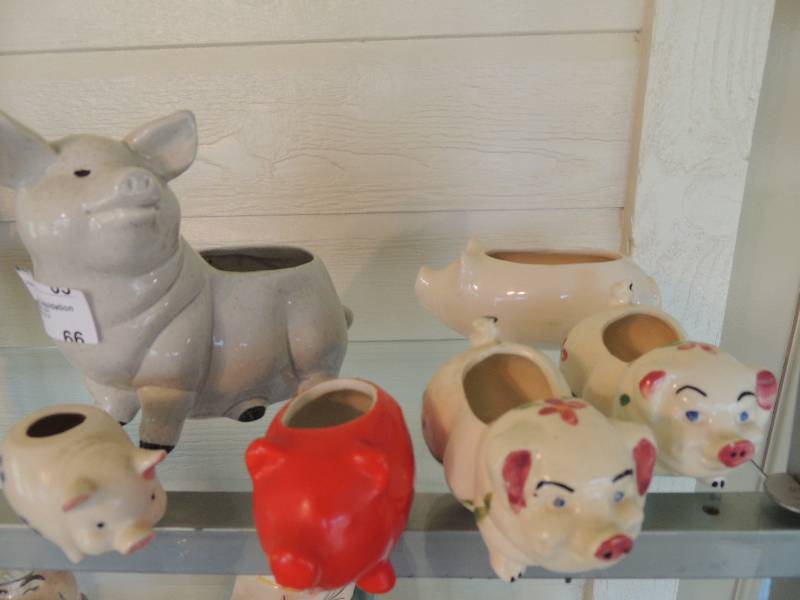 lot 66 image: PIGS