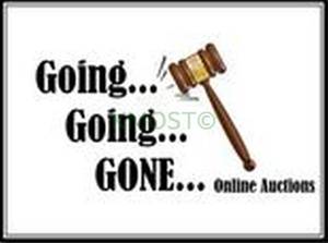 lot 6 image: TERMS & CONDITIONS