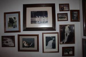 lot 72 image: Framed Photographs See Photos
