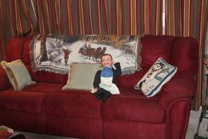 lot 316 image: Sofa (Hide-a-Bed), Throw Blanket and Throw Pillows CHARLIE NOT INCLUDED