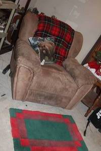 lot 322 image: Brown Recliner with Throw Blanket Pillow and Rug