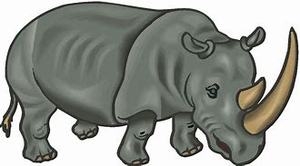 lot 443 image: Rhino Lot  51-100