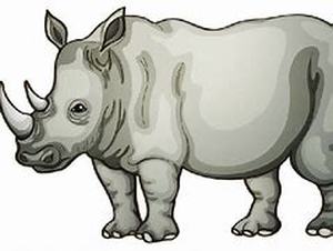 lot 445 image: Rhino Lot 151-200