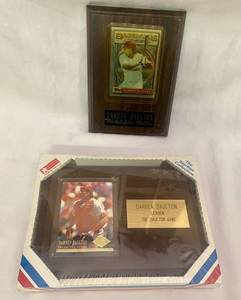 lot 118 image: Darren Daulton Philadelphia Phillies  & Leader The Dalton Gang