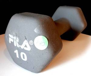 lot 140 image: FILA 10 POUND DUMBELL WEIGHT
