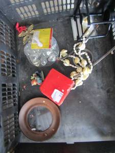 lot 22 image: rock dcor marbles, sentry warmer, shell necklace and more