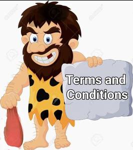 lot 6 image: Terms & Conditions