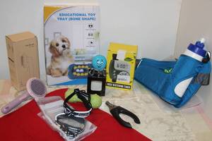 lot 33 image: Small dog Items