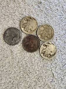 lot 111 image: Selection of 5 vintage Buffalo Nickels