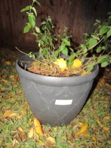 lot 353 image: 14 black outdoor planter