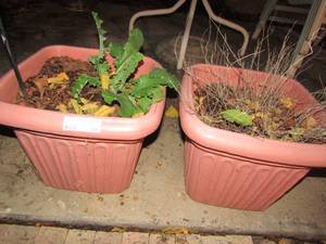 lot 354 image: 12 light red plastic outdoor planters qty 2