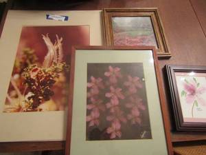 lot 406 image: Various wall art most by trent lambert, beautiful pieces, various sizes