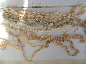 lot 101 image: Shell Jewlery