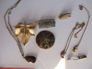 lot 313 image: Abalone starfish pin and lapel pin, gold leaf pin, Victorian inspired chocker pin lapel spoon, 1 bear and 2 stone necklaces