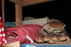 lot 33 image: 3 Baseball Mits and Canopy Cover
