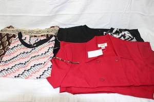 lot 180 image: Womens Clothes- dressy Talbots, Lauren, Kasper size 10