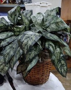 lot 35 image: Artificial Plant in Basket planter