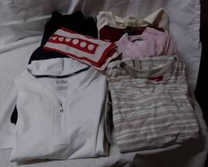 lot 38 image: Womens Clothes RL white top, pink top, and red and white scarf