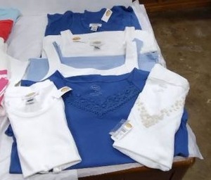 lot 261 image: Womens Clothes Size M Talbots blue and white tank tops with tags