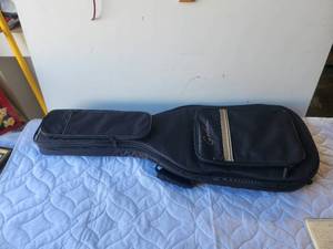 lot 252 image: Godin guitar case-bag