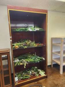 lot 32 image: Very nice dark wood laminate display cabinet with glass shelves no contents included - 48W x 23D x 96H - Bldg. J