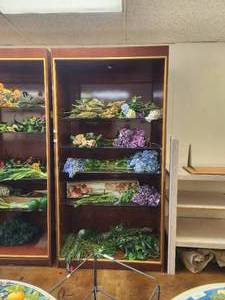 lot 255 image: Very nice dark wood laminate display cabinet with glass shelves no contents included - 48W x 23D x 96H - Bldg. J