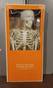 lot 18 image: LARGE GLOW-IN-THE-DARK POSABLE SKELETON 240 11 7929 IN BOX AS SHOWN.