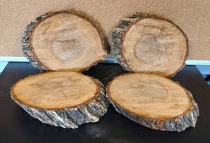 lot 32 image: LOT OF TREE BARK SLICES IN ASSORTED SIZES AS SHOWN.