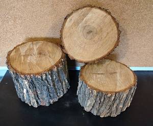 lot 33 image: LOT OF TREE BARK SLICES IN ASSORTED SIZES AS SHOWN.